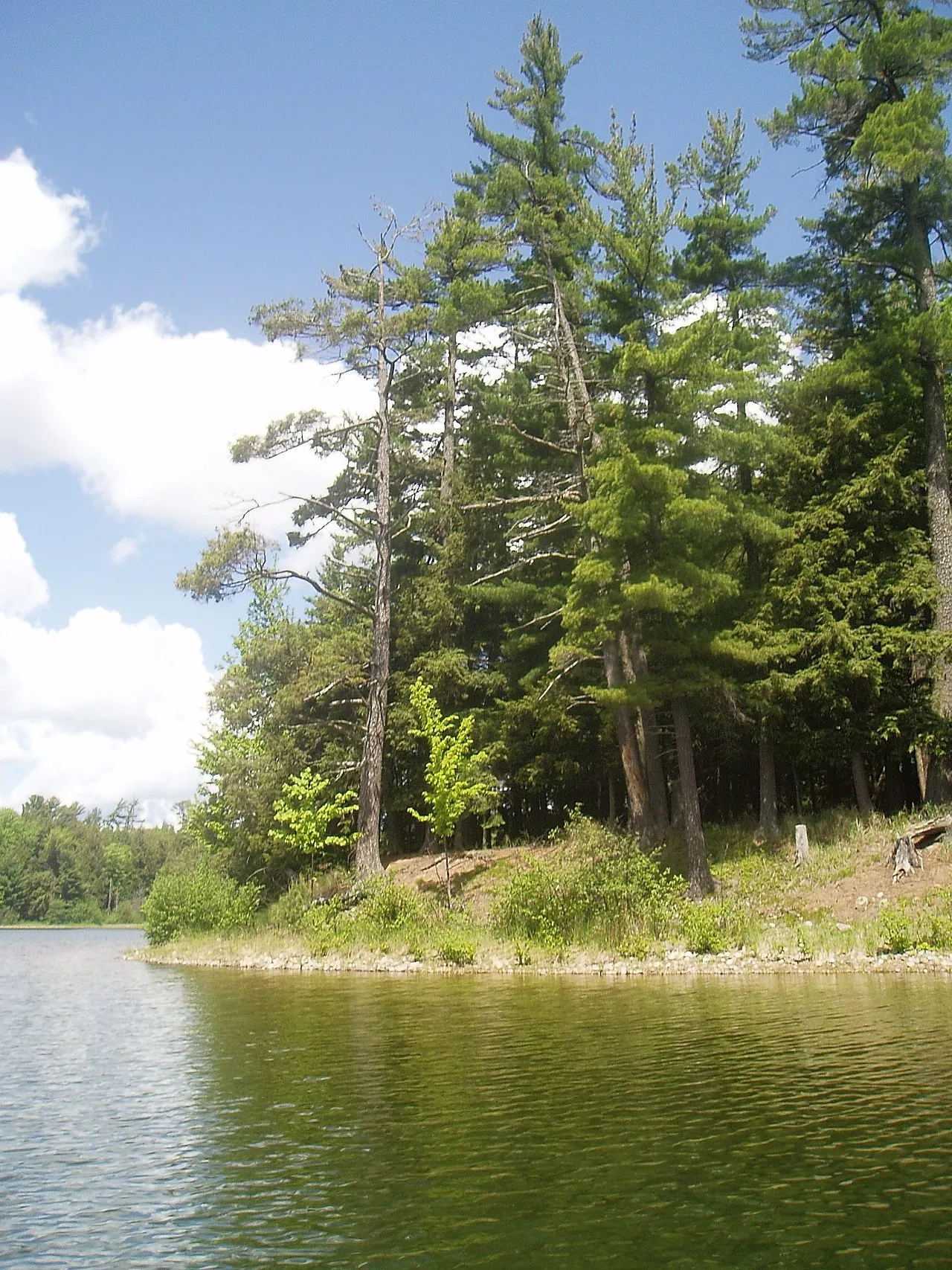 Lake Gogebic Campground