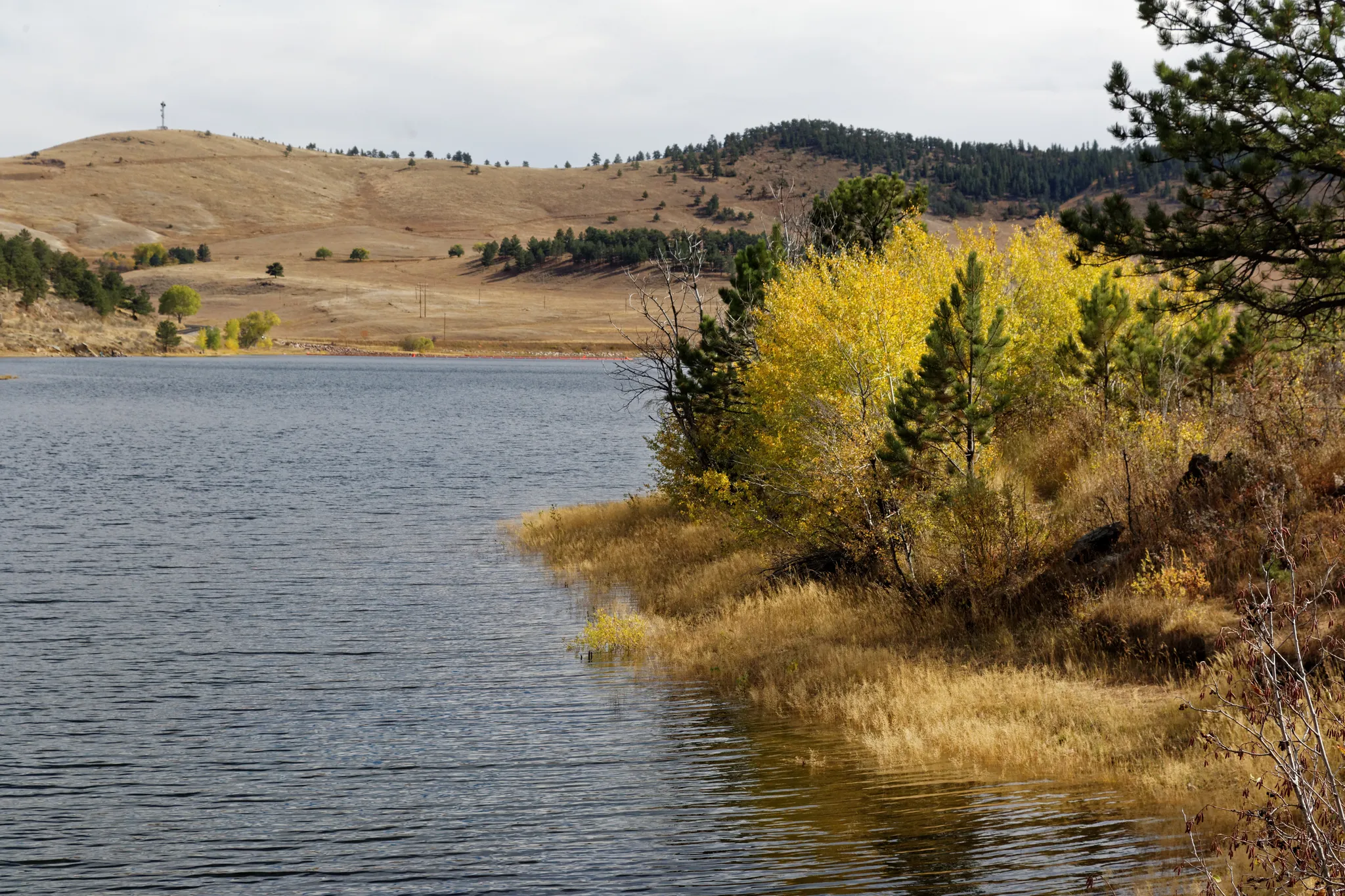 Pinewood Reservoir