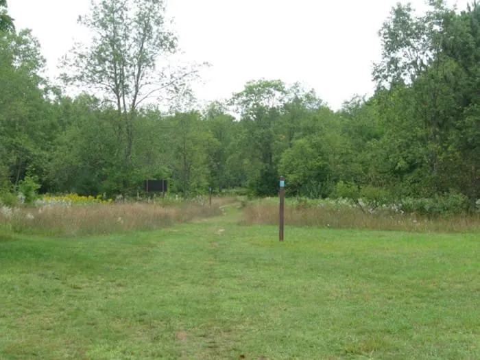 Pinney Bridge State Forest Campground