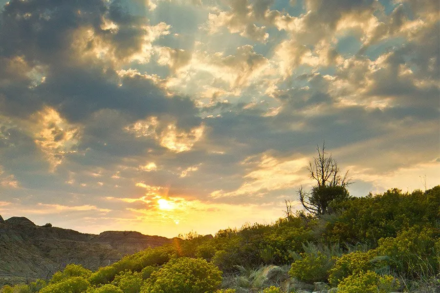 Makoshika State Park