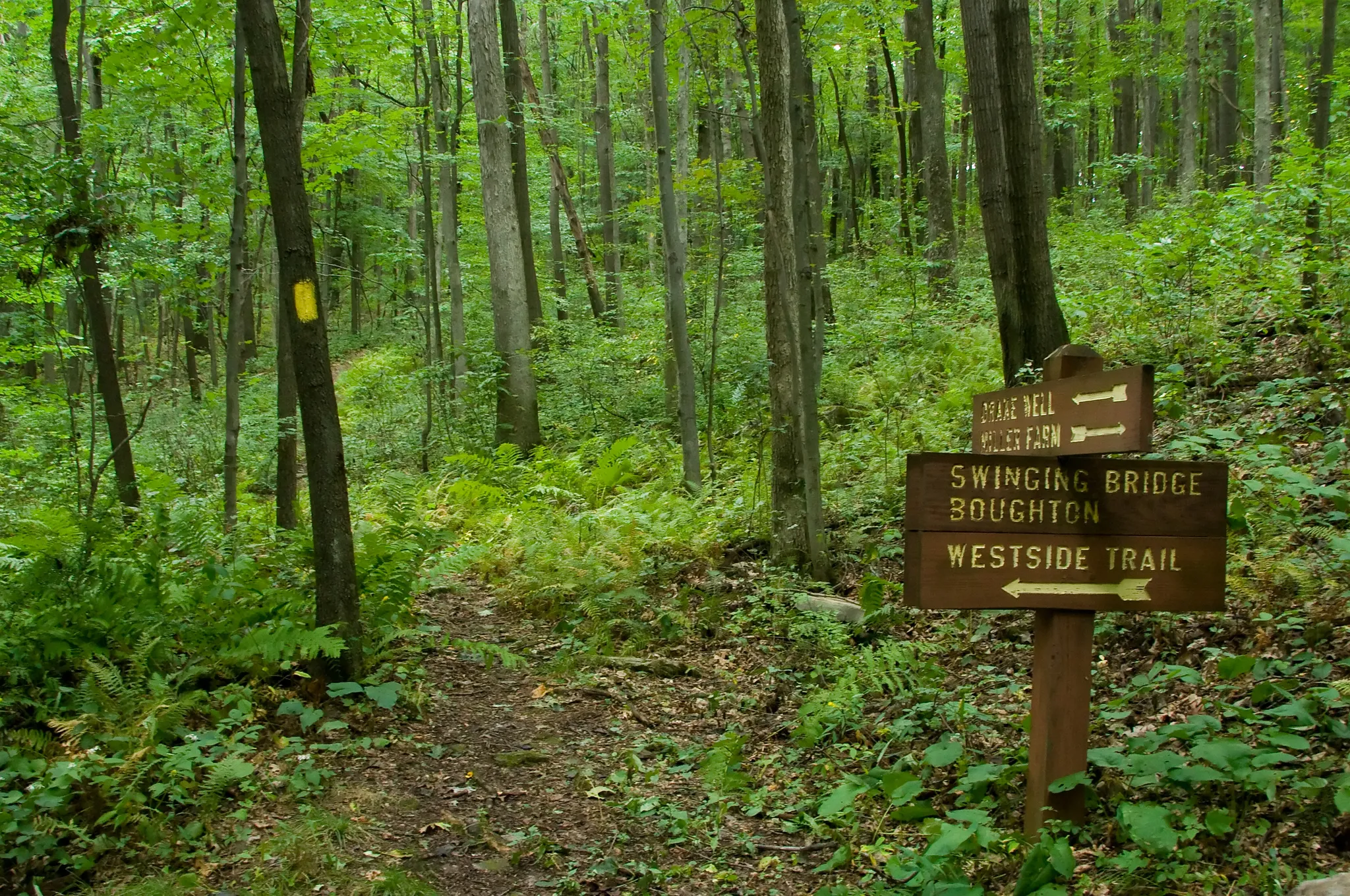 Oil Creek State Park