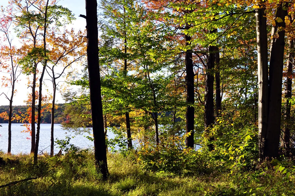 Wawayanda Campground