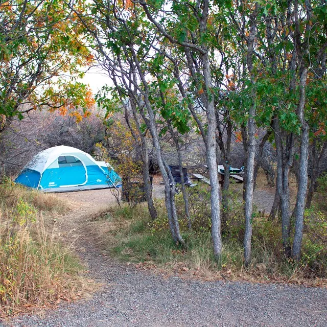 Black Canyon Of The Gunnison North Rim Campground