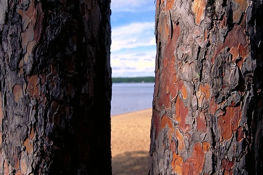 Beatrice Lake Campground | Rustic Campground