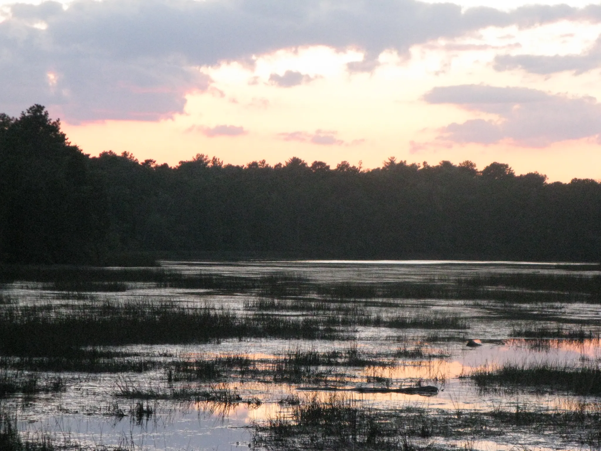 Bass River Campground