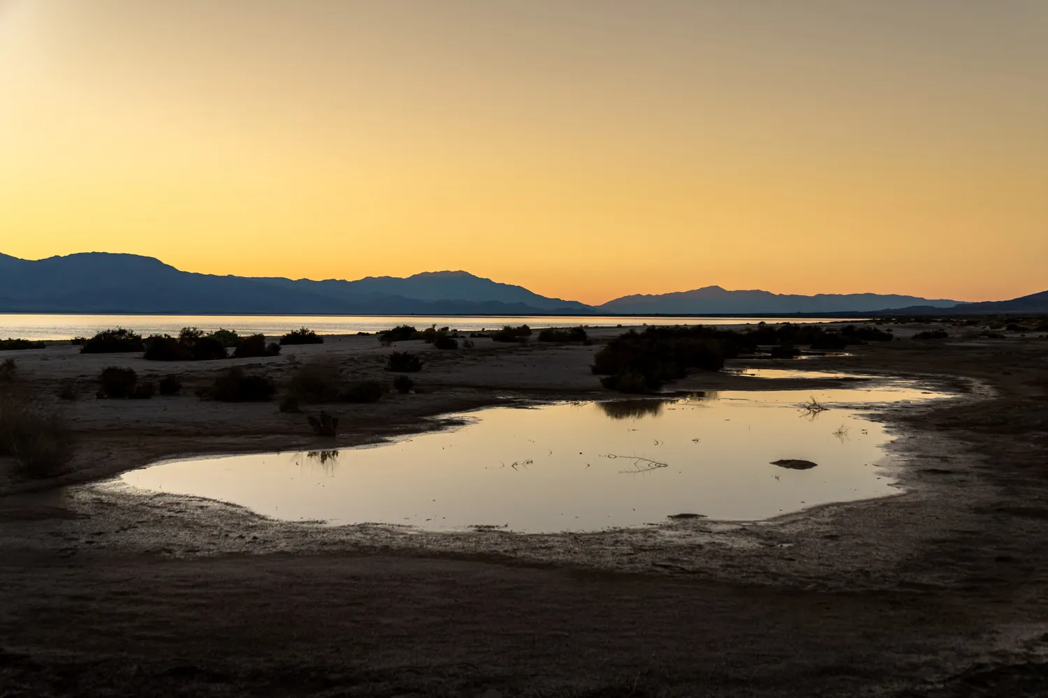 Salt Creek Beach Campground