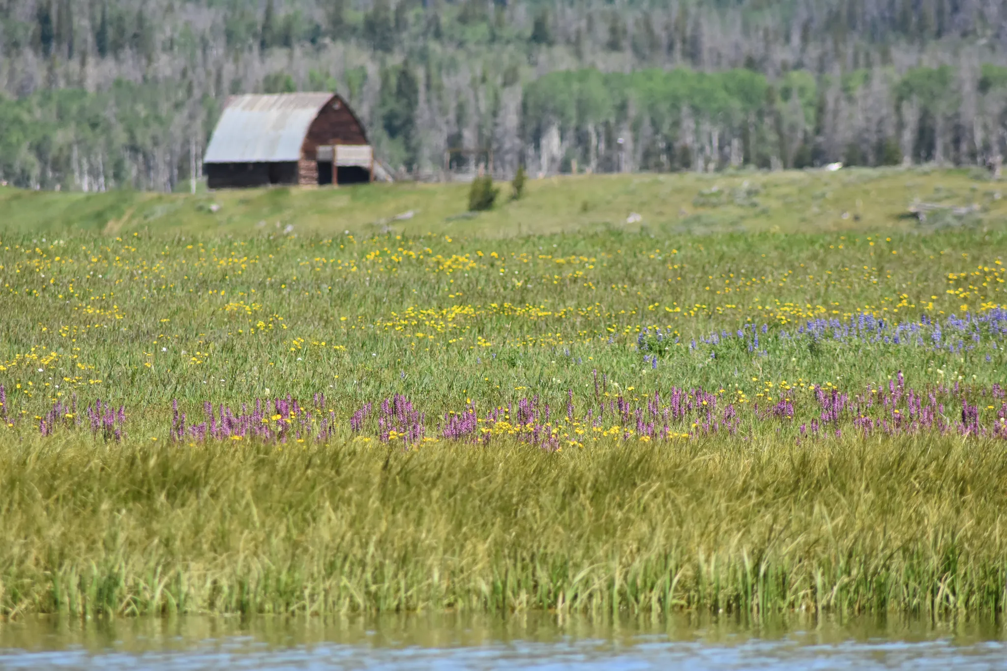Steamboat Lake Campground