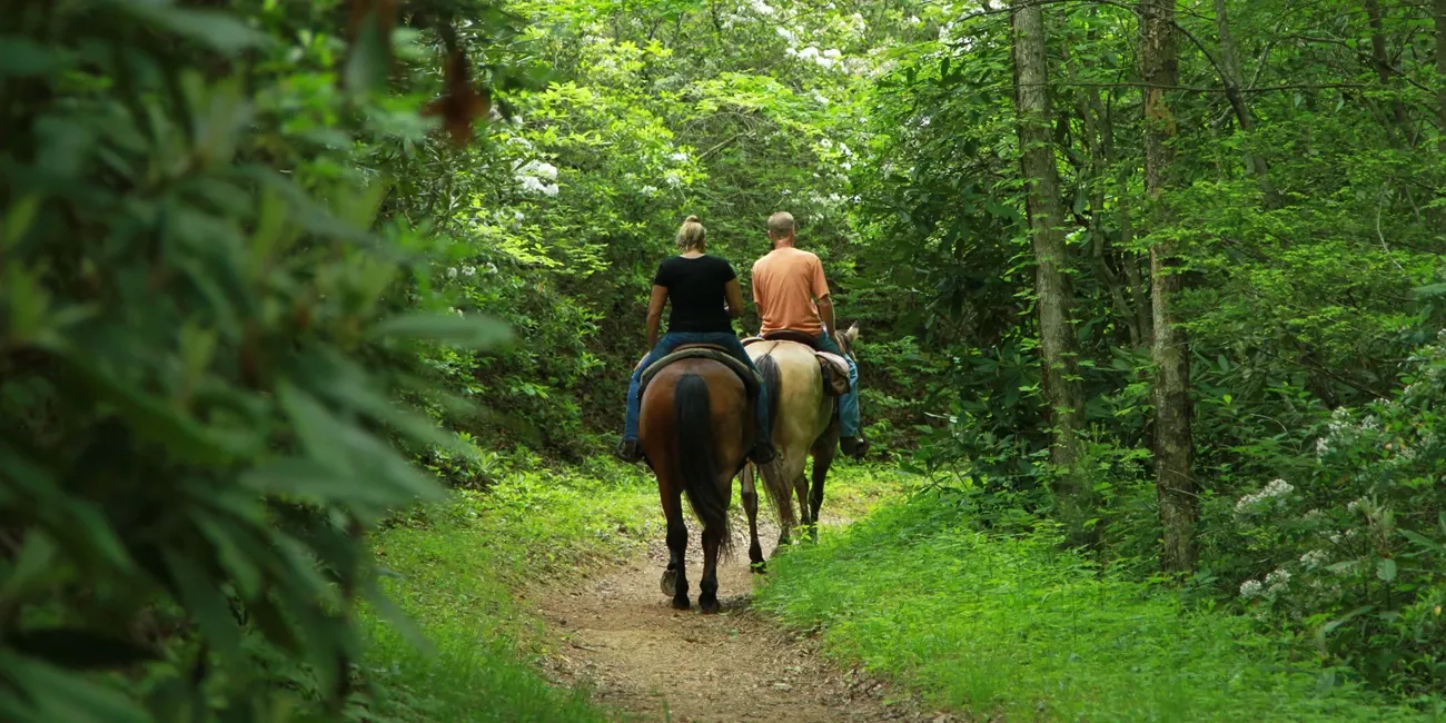 Round Bottom Horse Camp