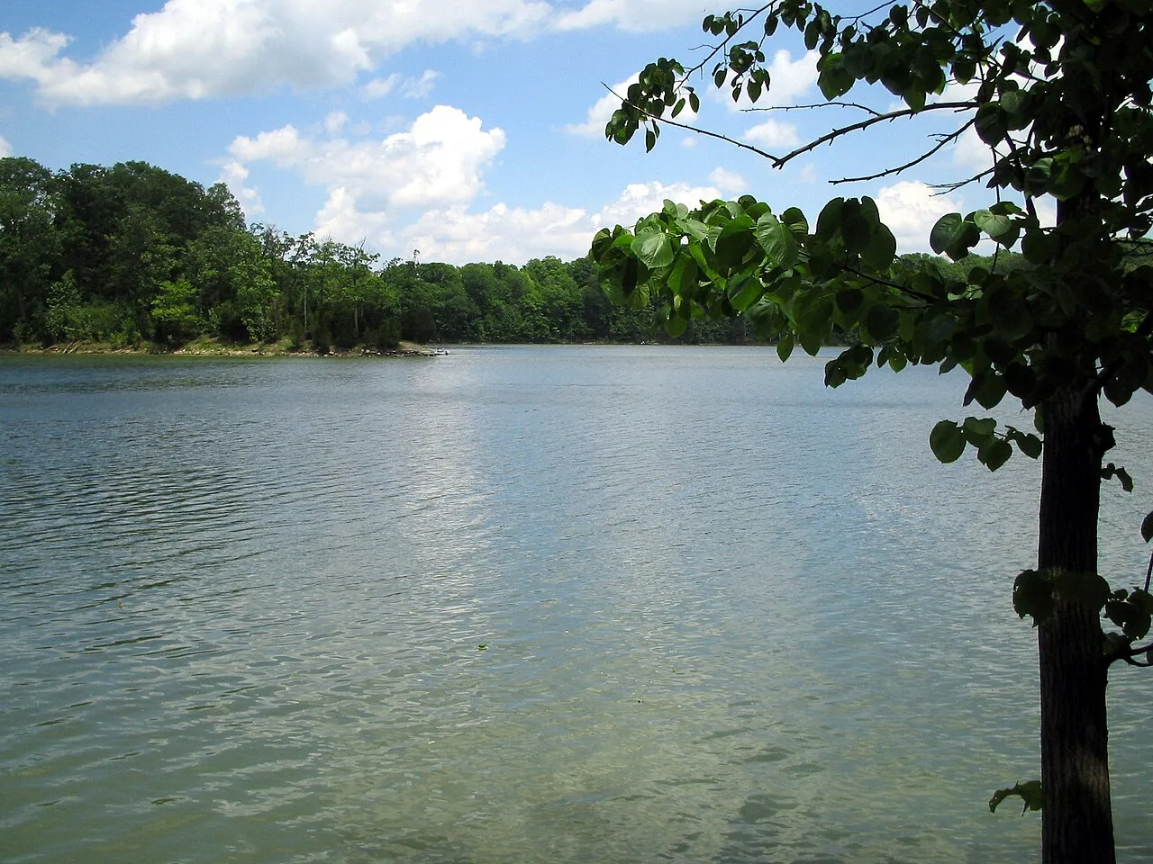 Caesar Creek Camp Loops A, B, C