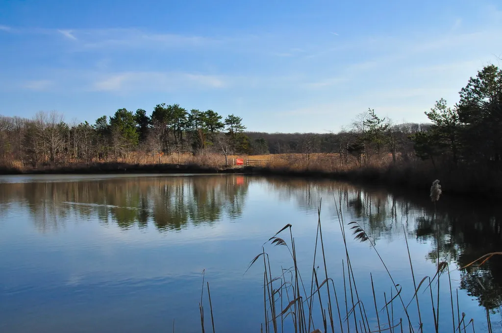Cheesequake Campground
