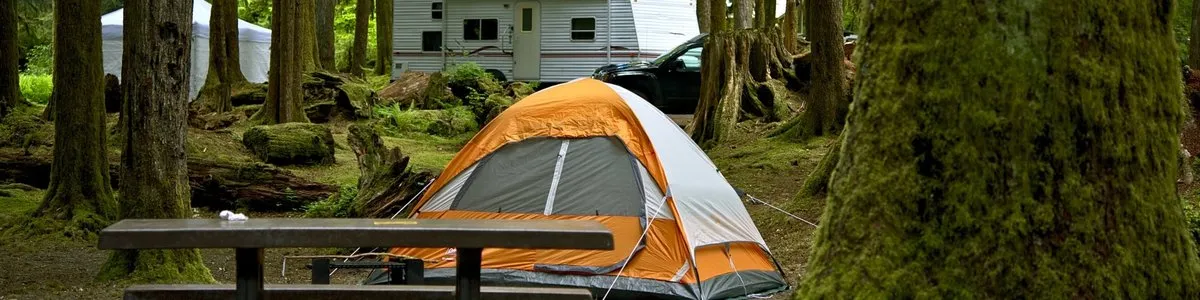Forest Creek Campground