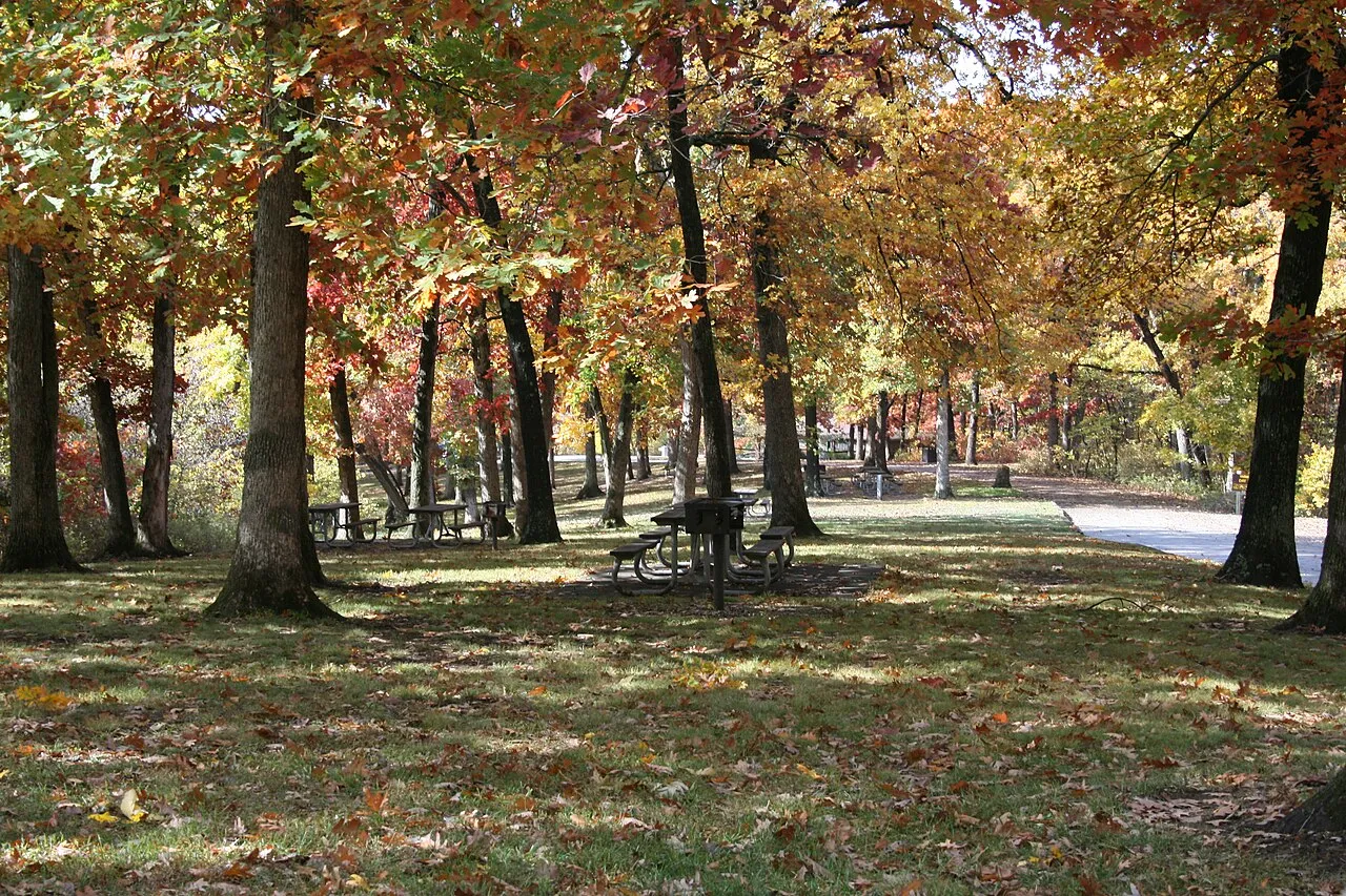 1 Campground