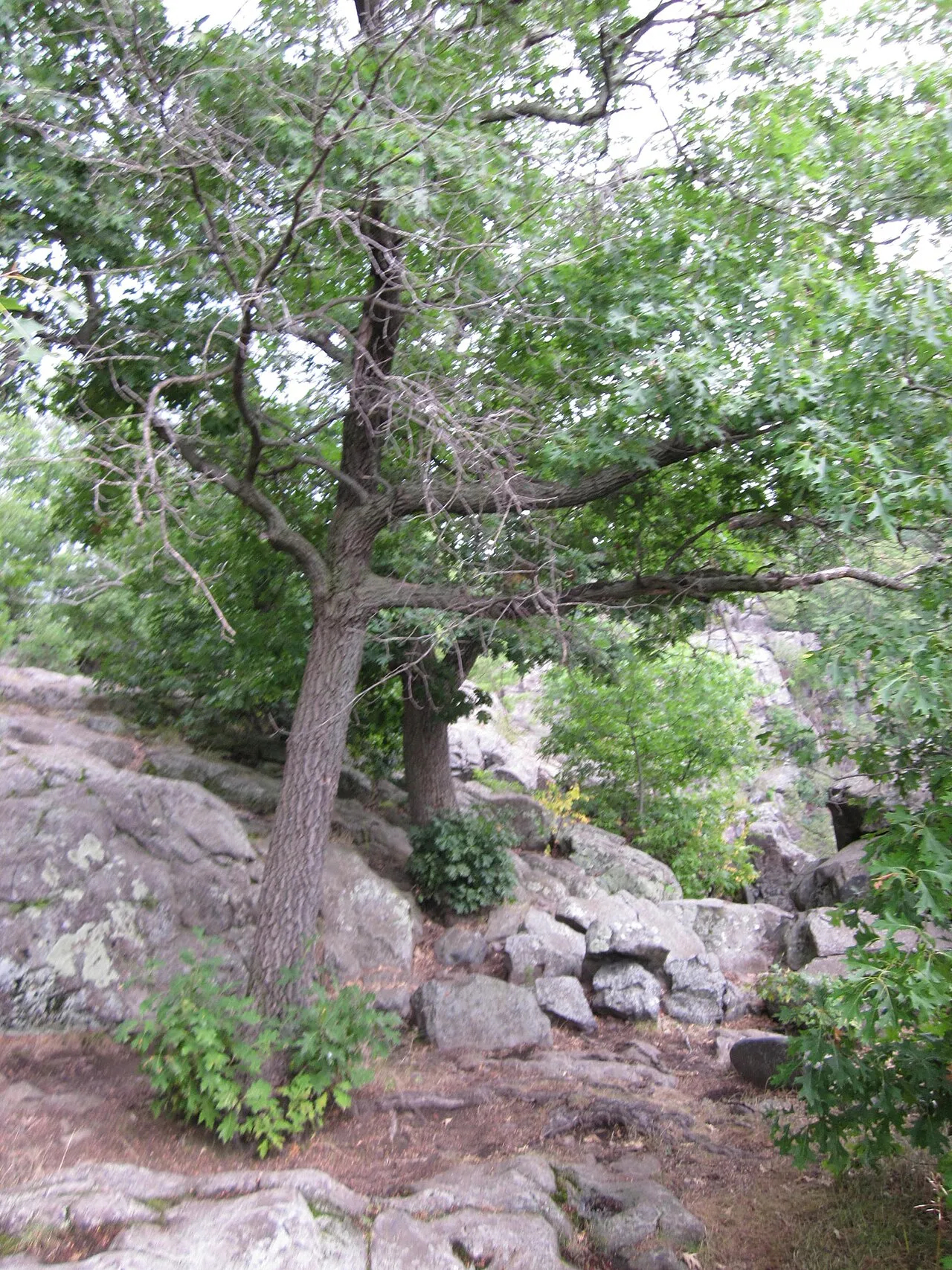 Interstate State Park