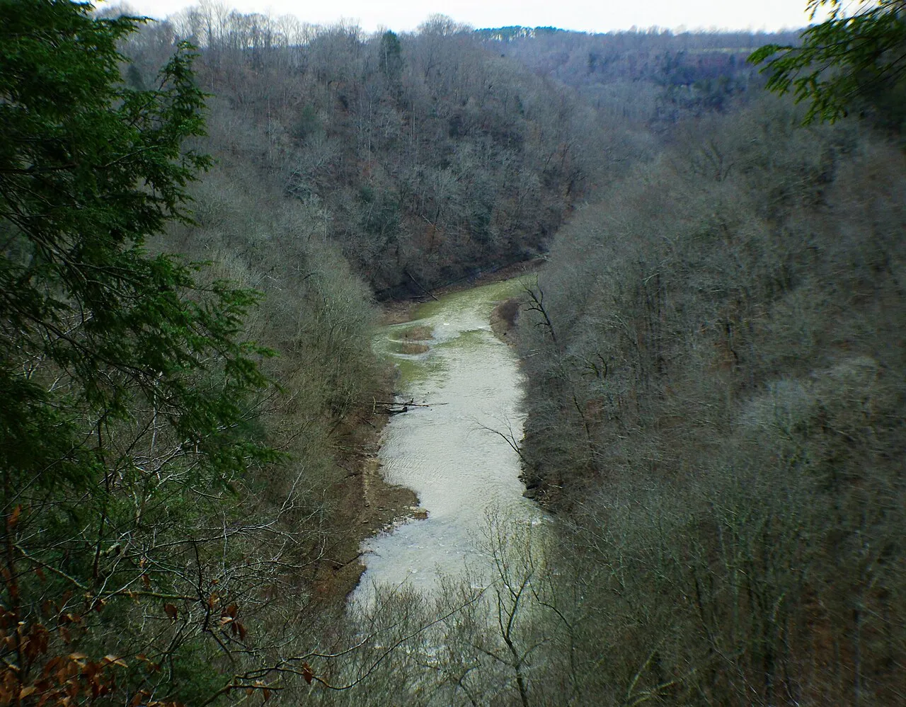 Ragland Bottom