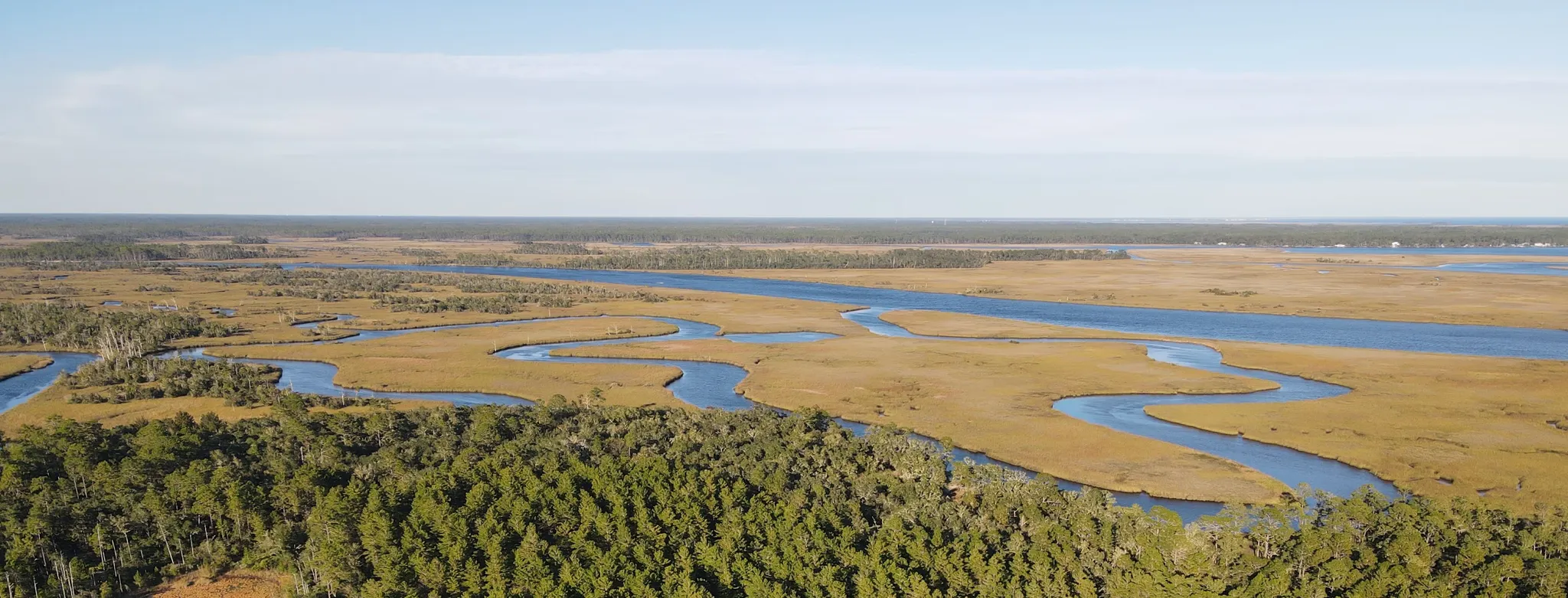 Bald Point State Park Campground