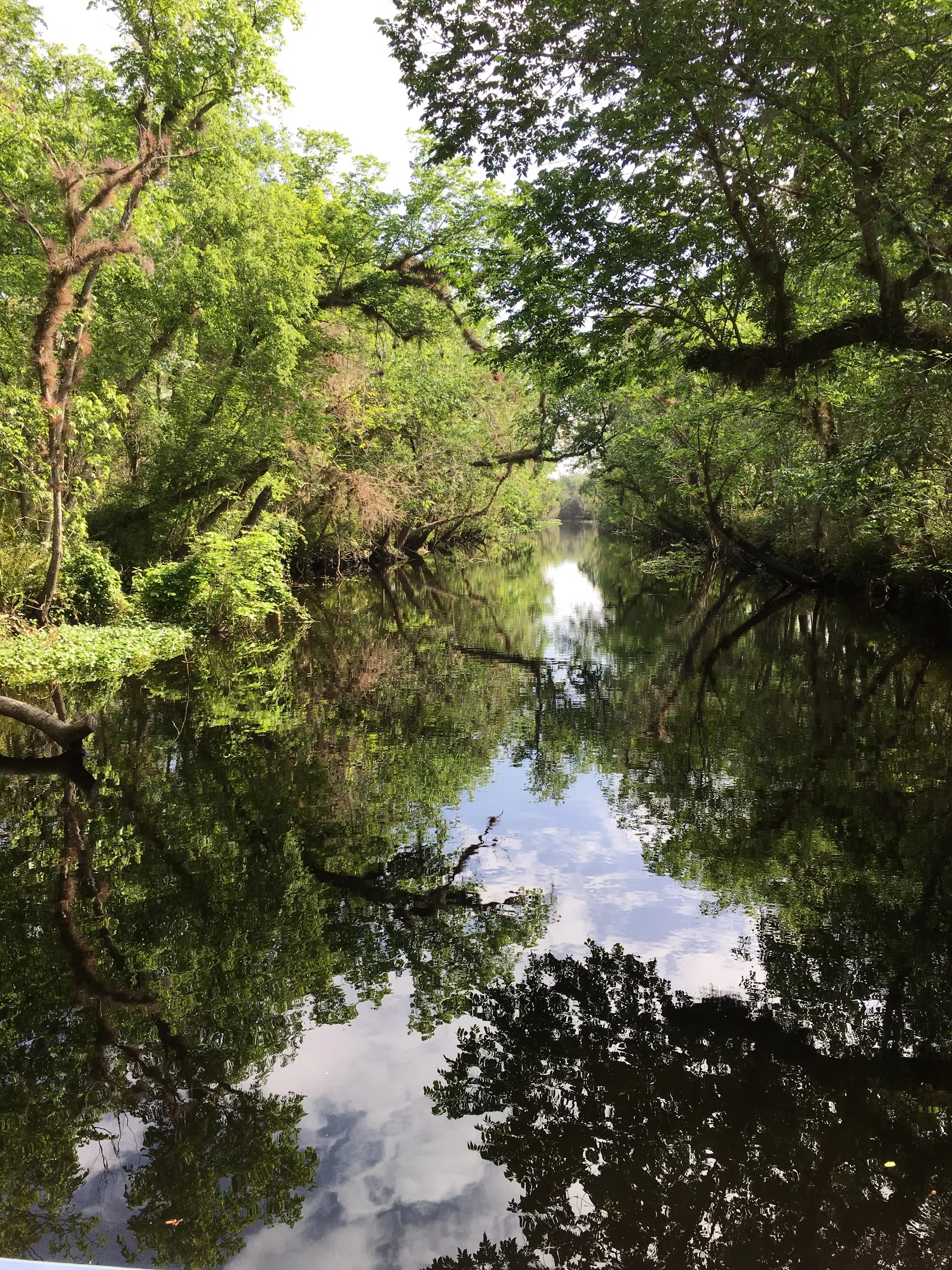 Hontoon Island State Park Campground