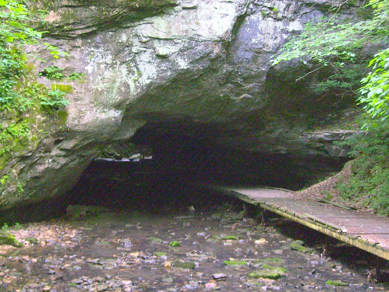 Special Use Campground