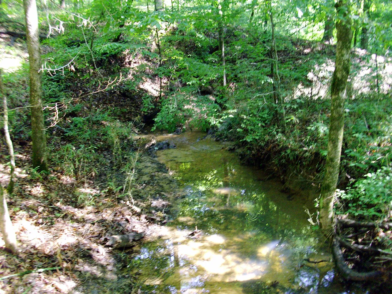 Cane Creek Campground