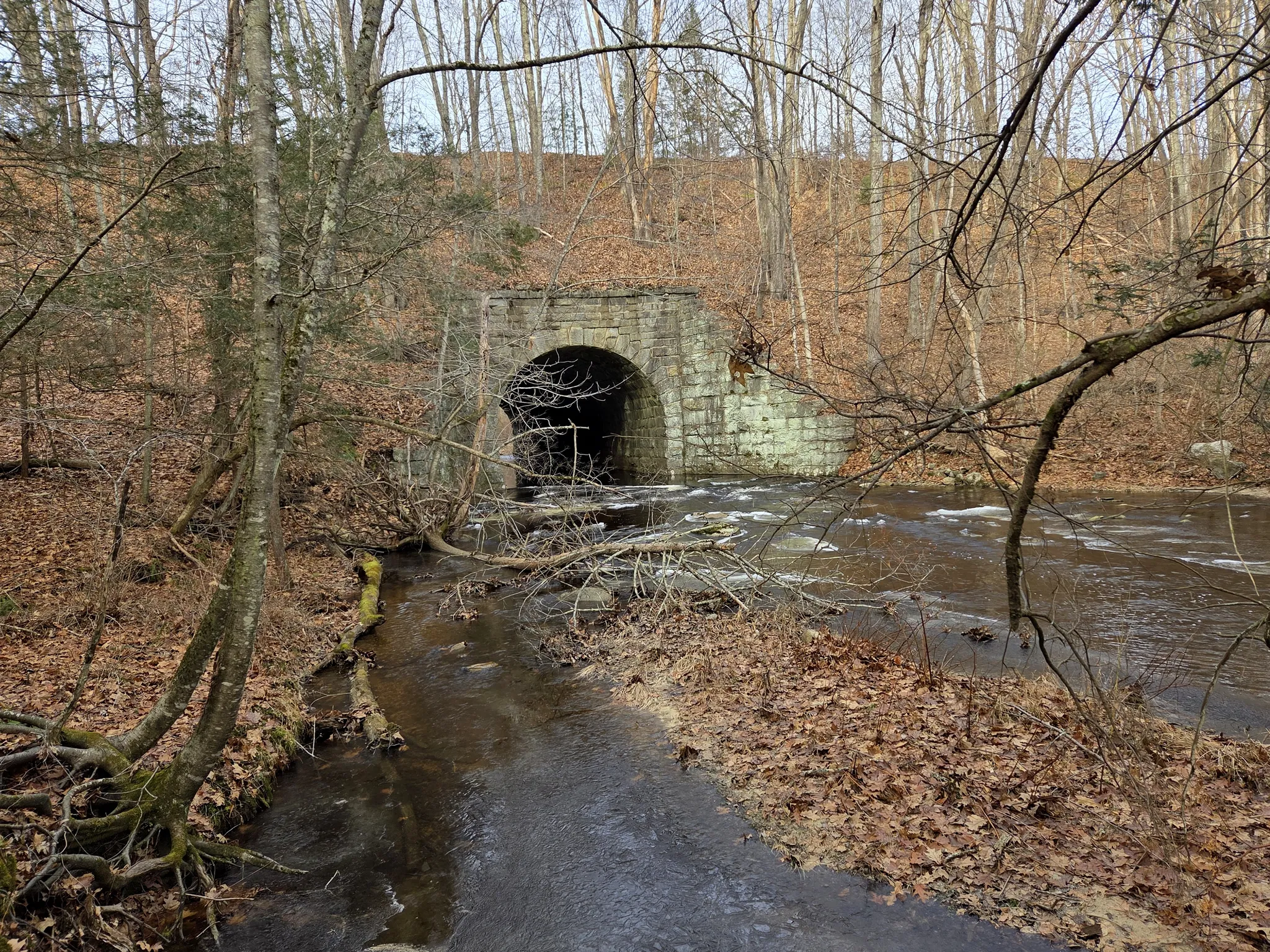 Mashamoquet Brook State Park