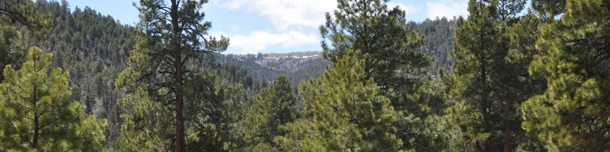 Conejos Campground