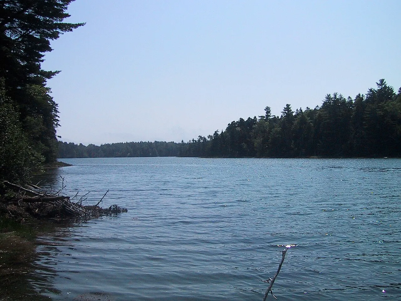 Cobscook Bay Campground