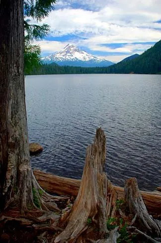 Lost Lake Campground, Resort And Day Use Area