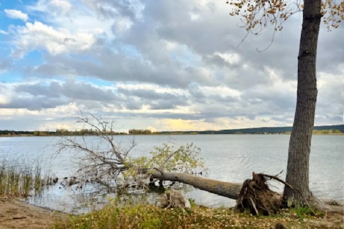 Lathrop State Park
