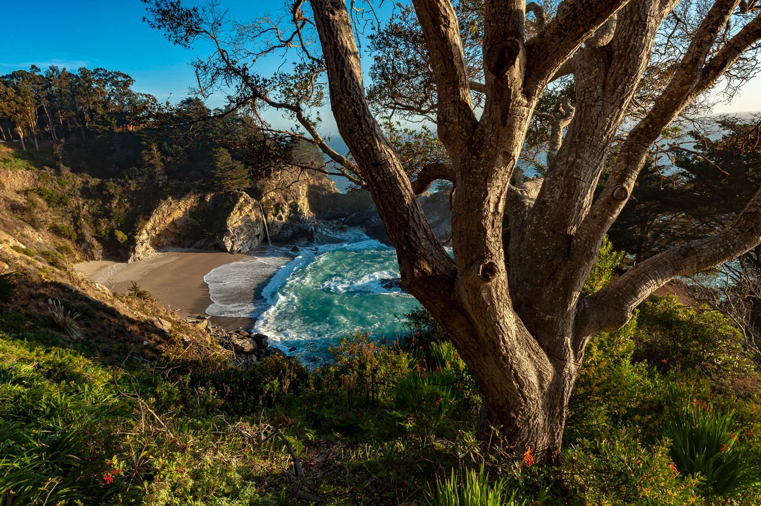 Environmental Group Campground