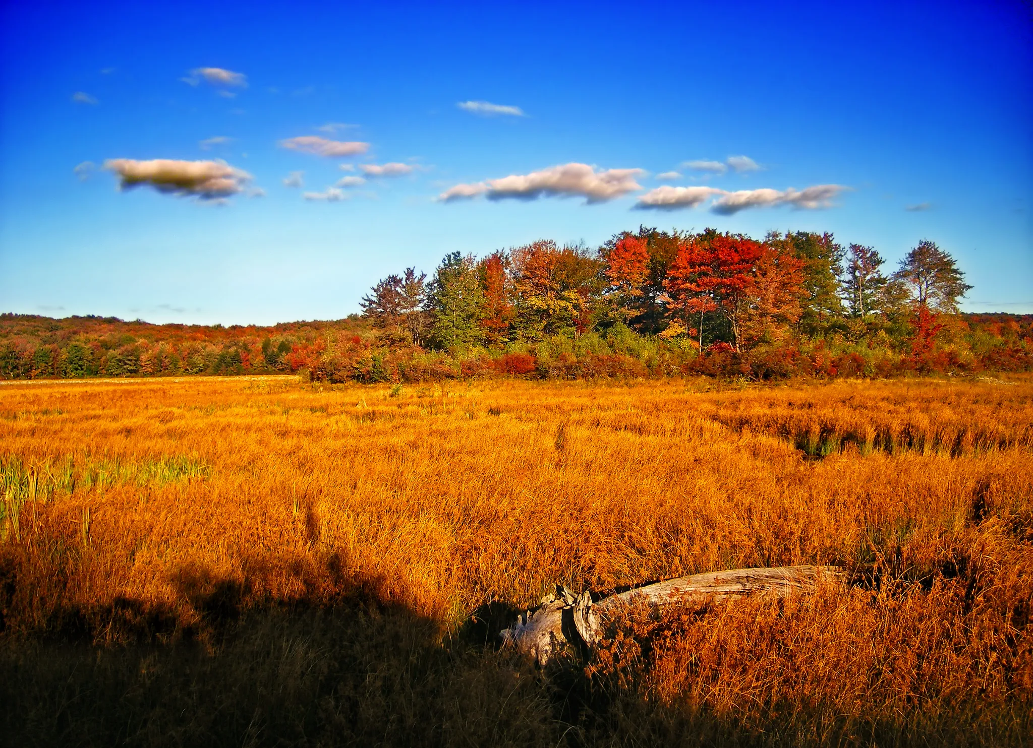 Gouldsboro State Park