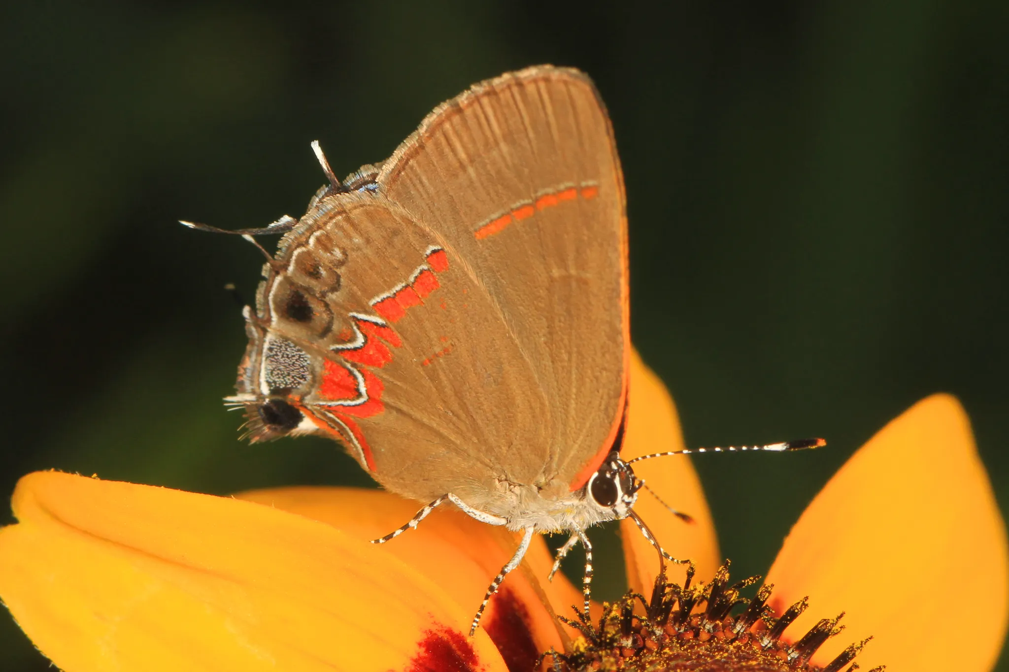 Mckinney Roughs Nature Park