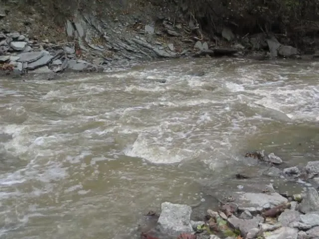 Caesar Creek Camp Loops A, B, C