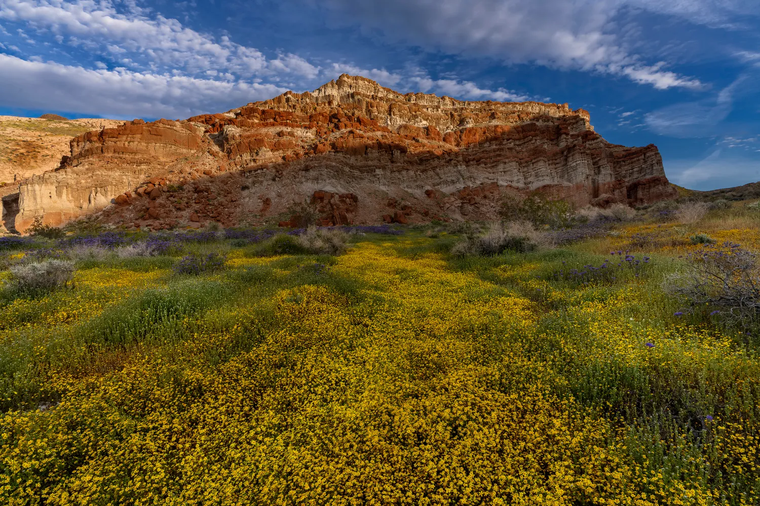 Ricardo Campground