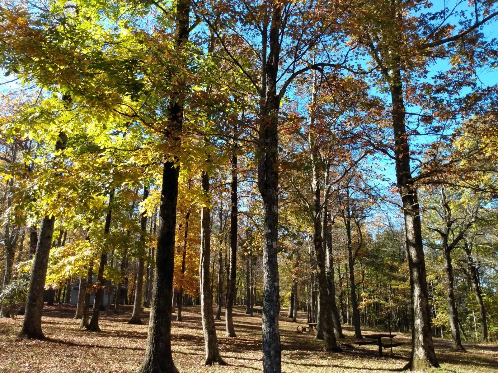 Crabtree Falls Campground