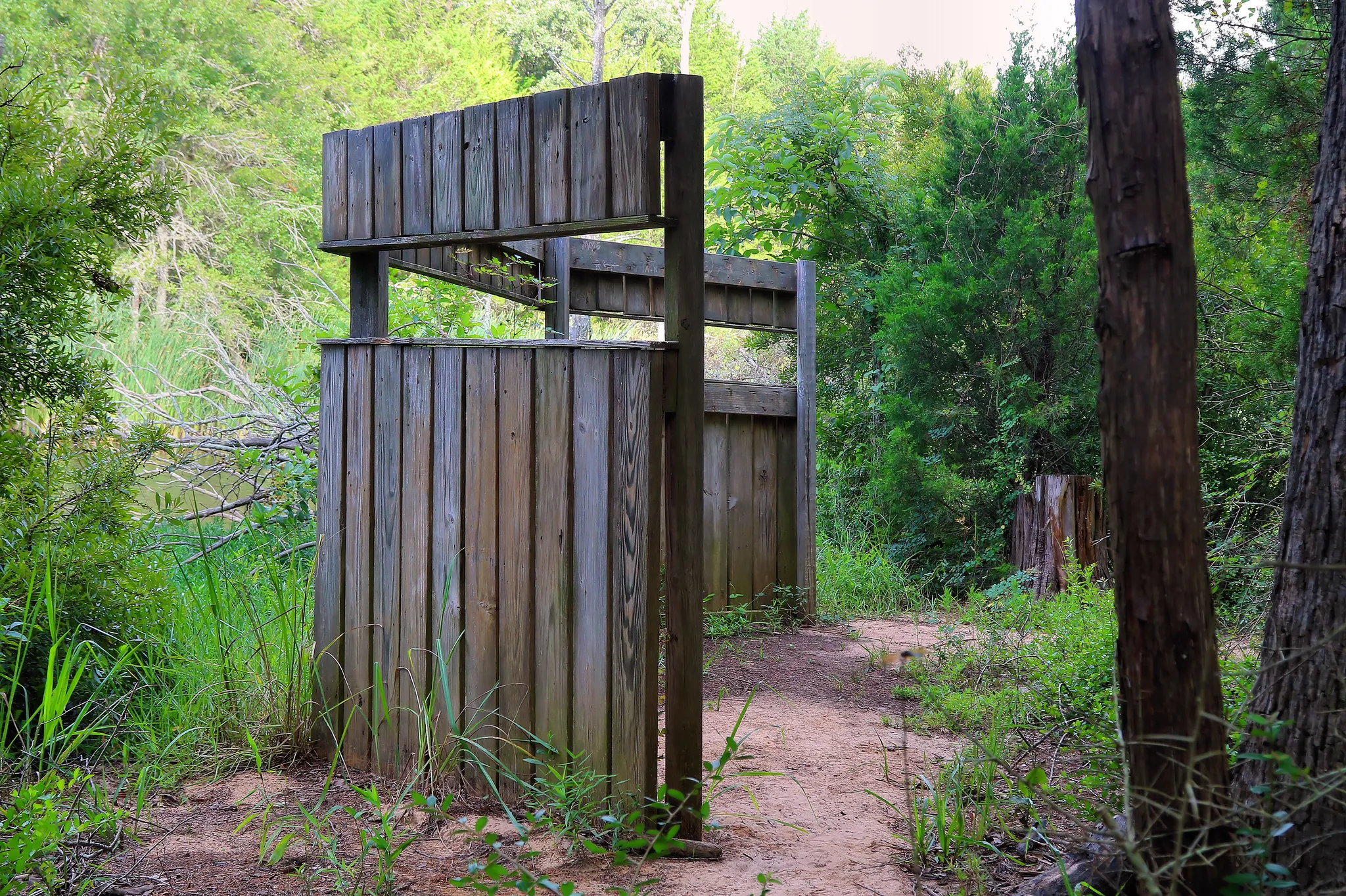 Purtis Creek State Park