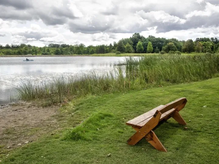 Darien Lakes State Park