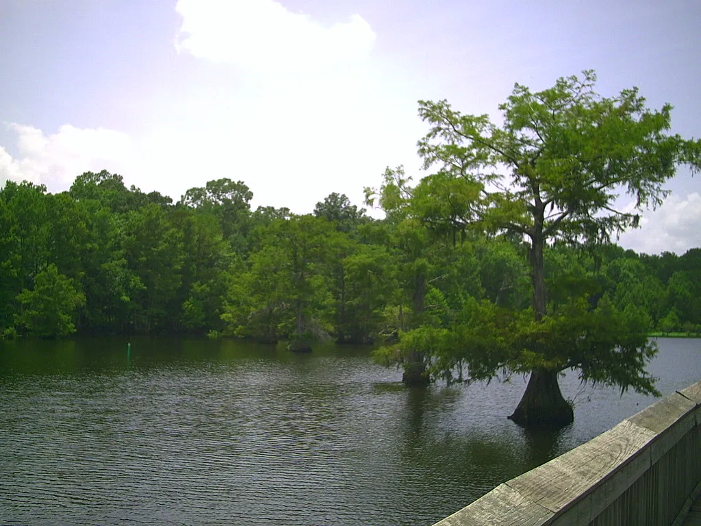 Lake Chicot Campground