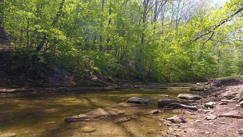 Shawnee Turkey Creek Campground