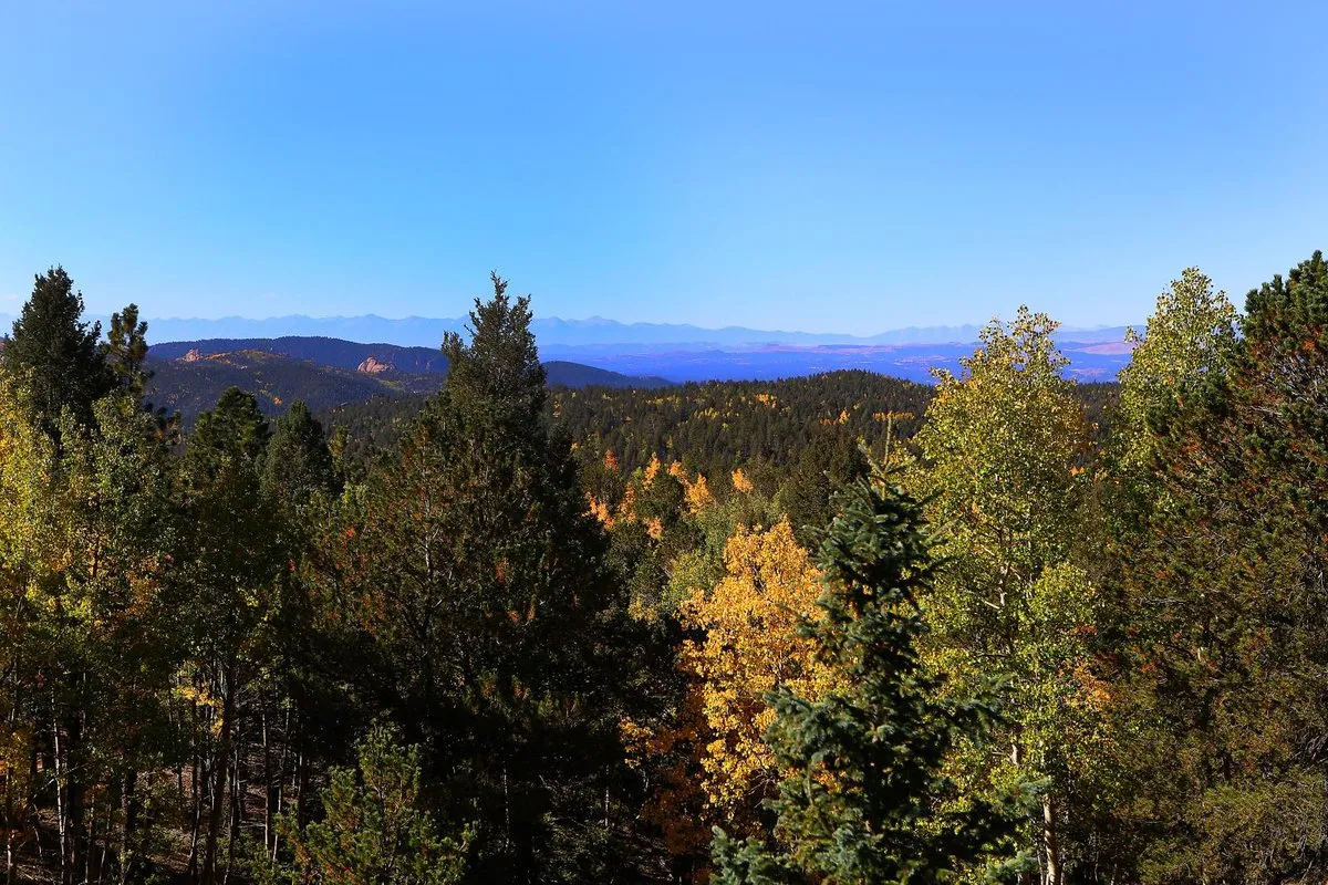 Mueller State Park