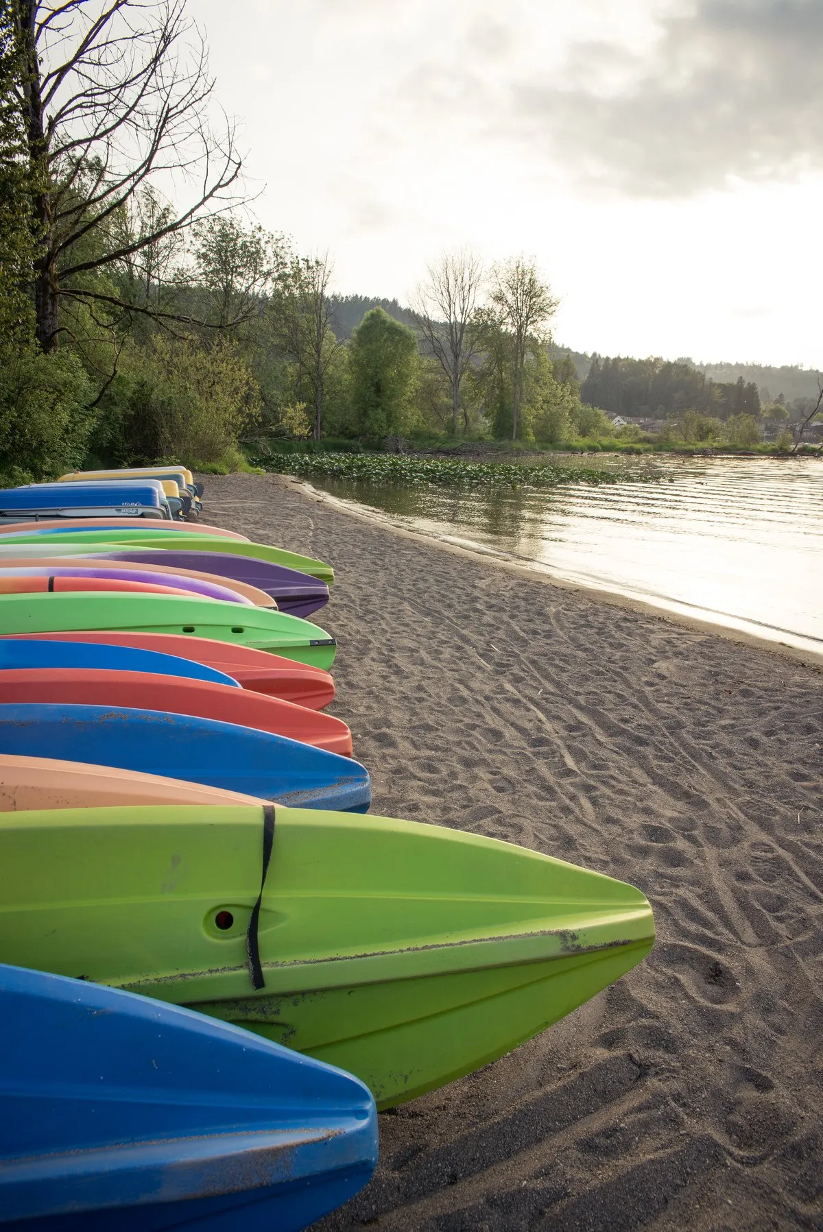 Lake Sammamish State Park
