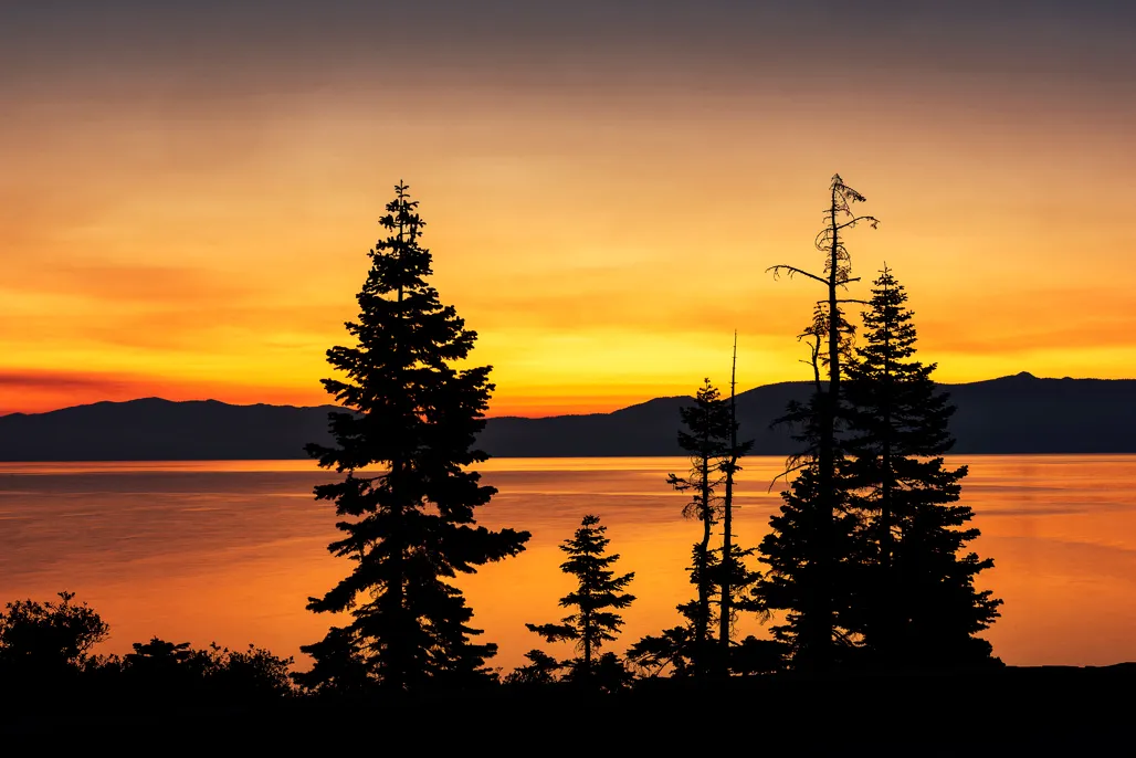 Pine Campground