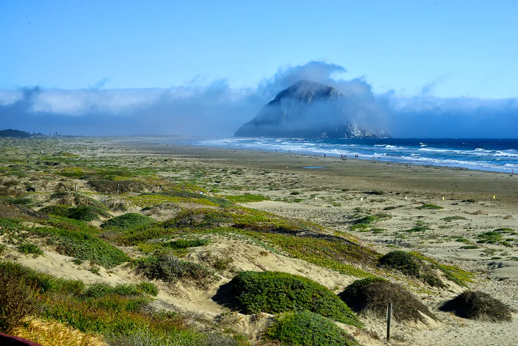 Morro Strand State Beach Campground