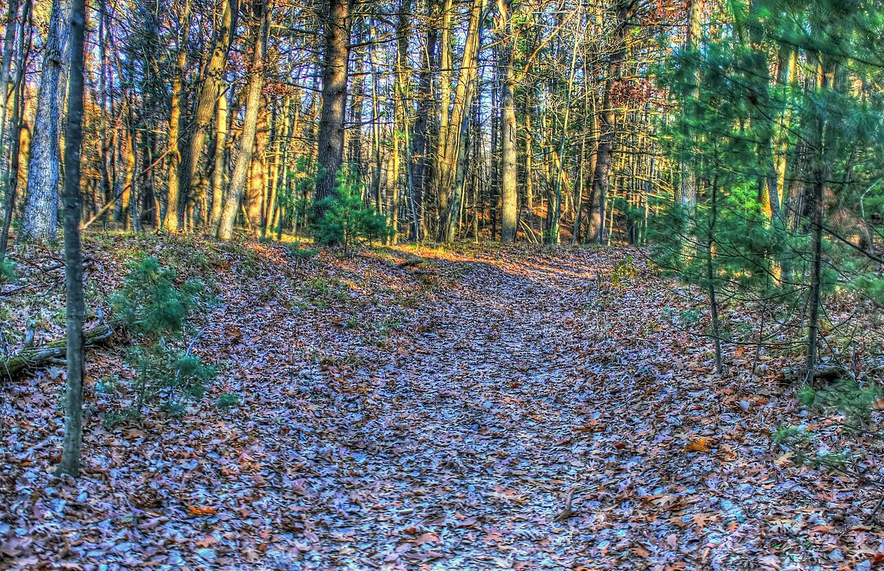 Roche-A-Cri State Park
