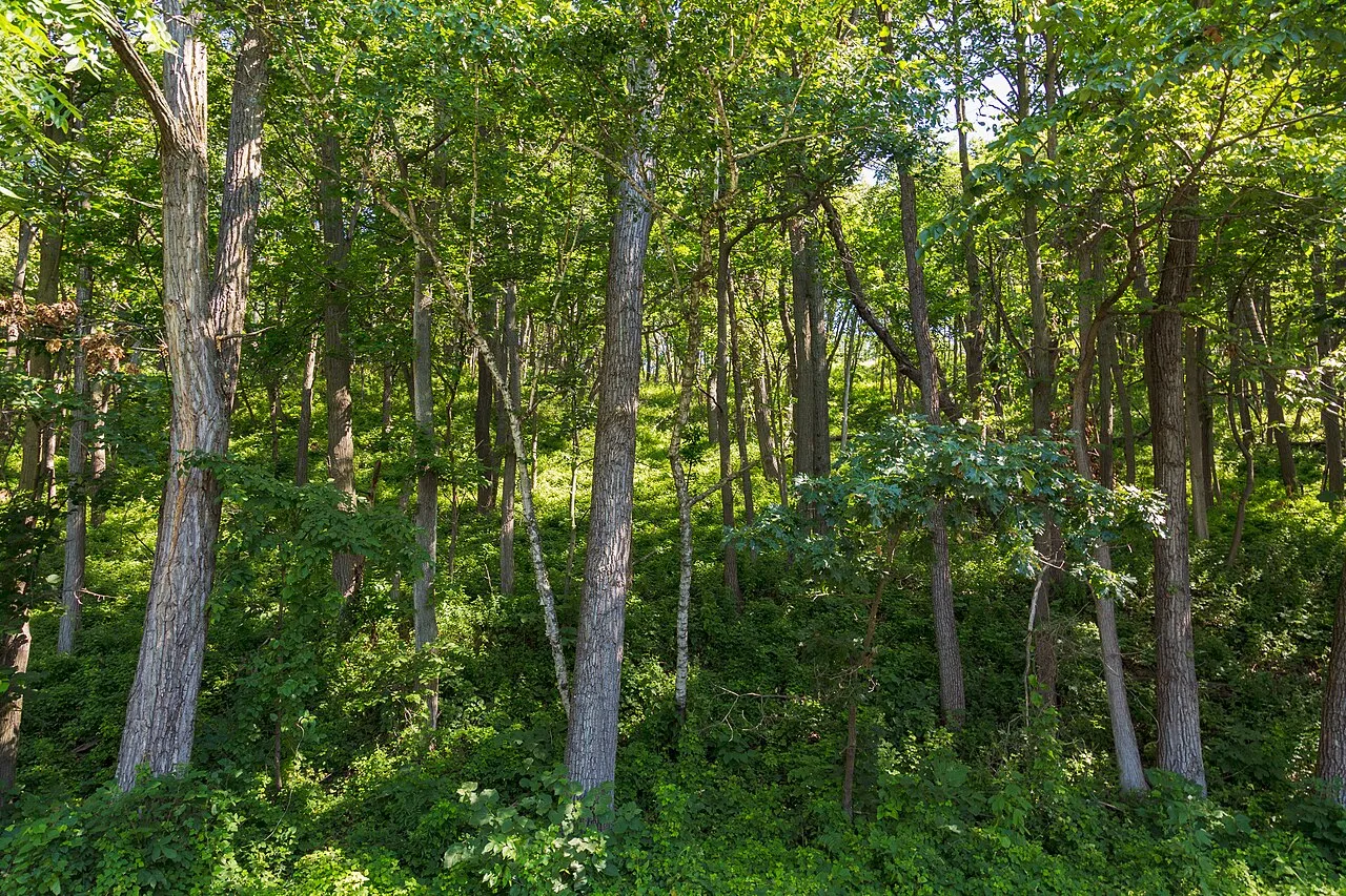 Perrot State Park