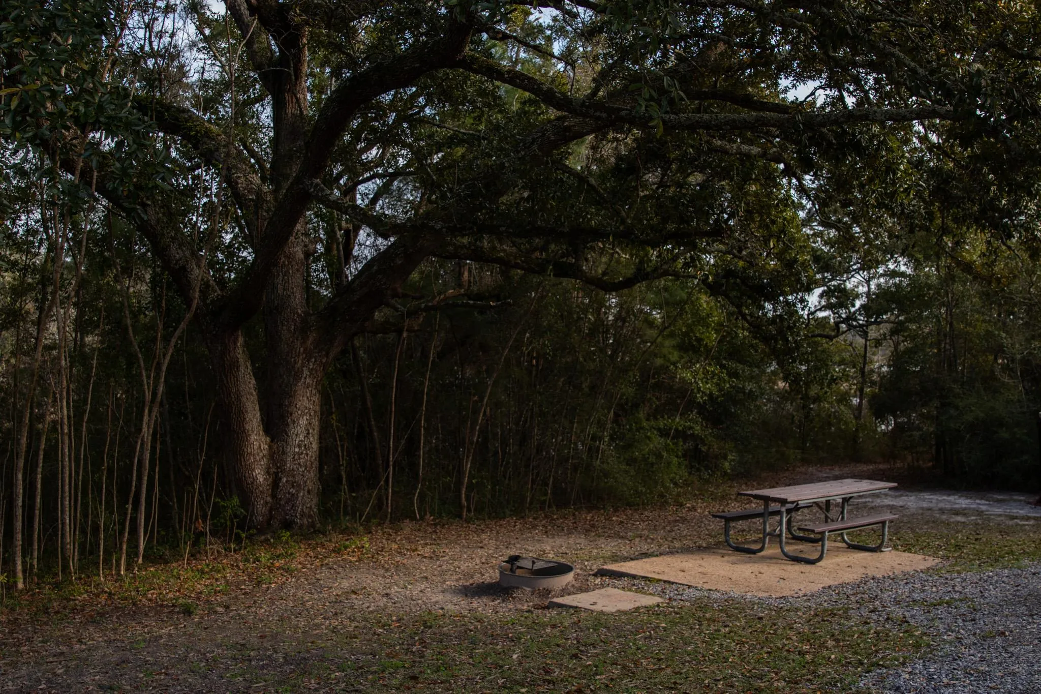 Davis Bayou Group Campground