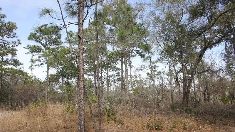 Fort Cooper State Park Campground