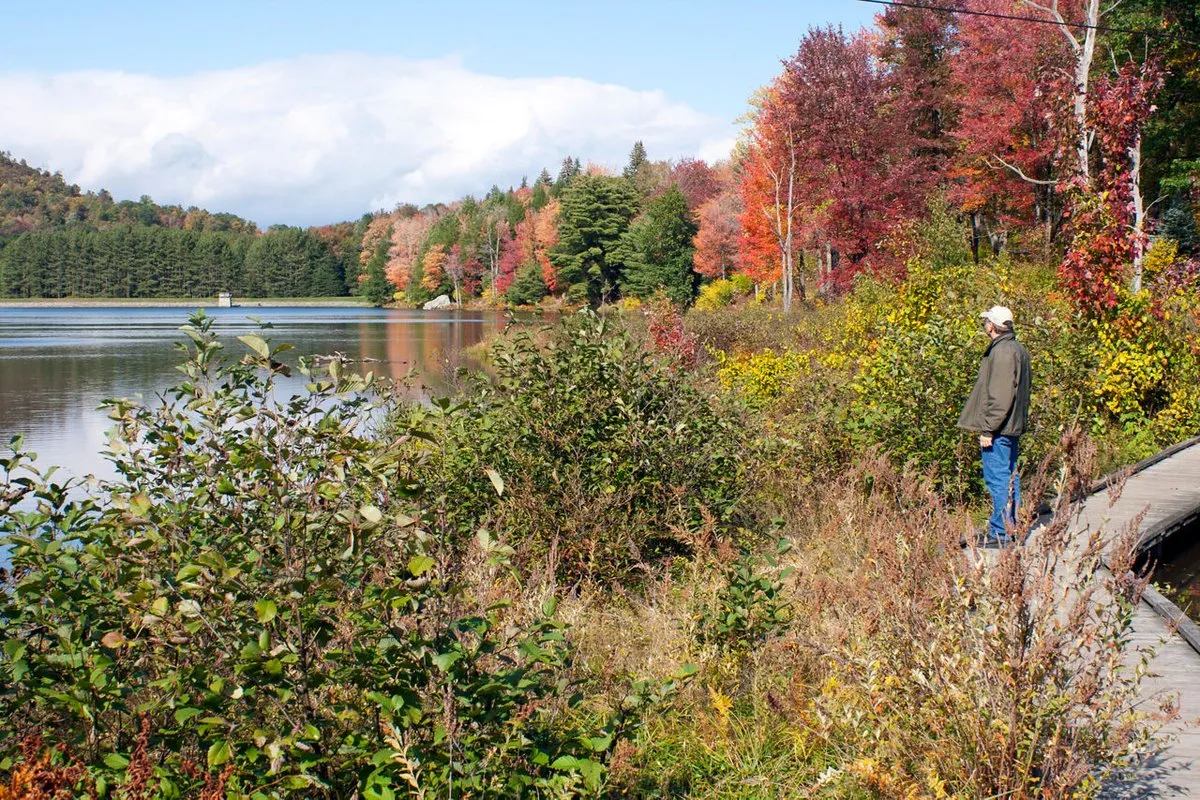 Parker Dam State Park