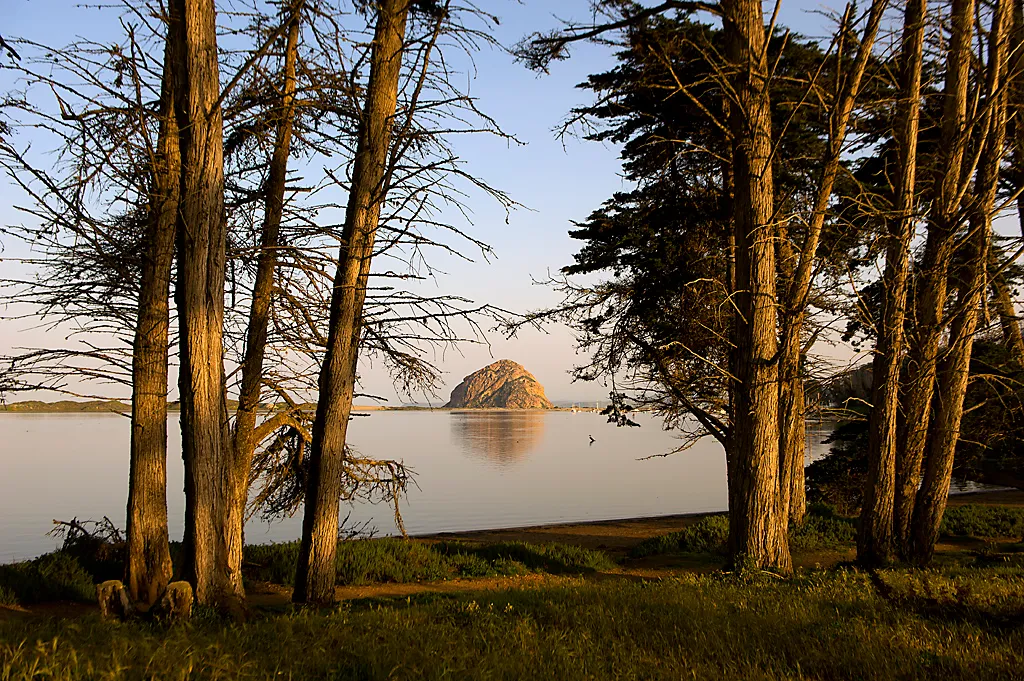 Morro Bay State Park Campground