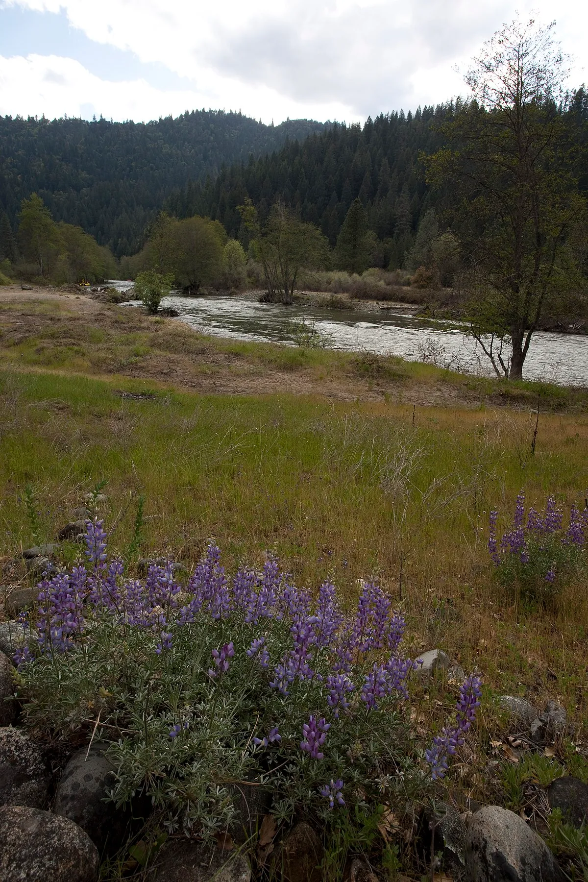 Trinity River Campground