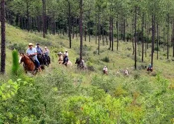 Hunter Camp