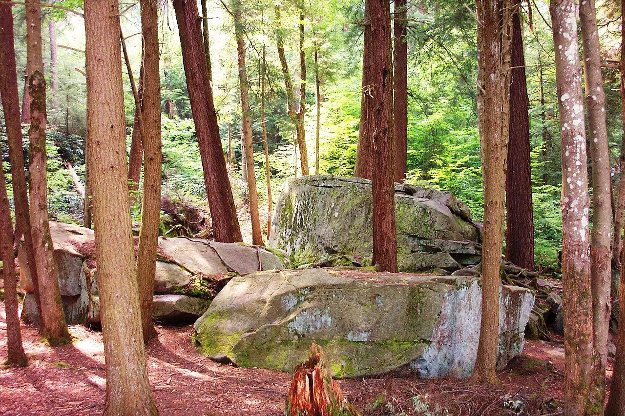 Swallow Falls State Park